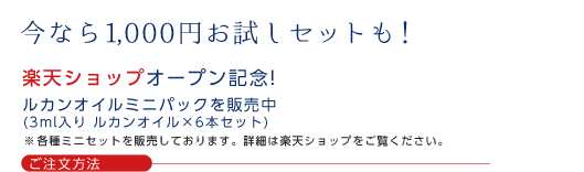 今なら1,000円お試しセットも！